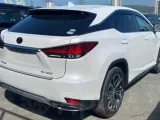 Пол багажника пластик LEXUS RX300/RX350/RX200T 2018-2024 5857148020 AGL20W/AGL20L/AGL20R/AGL25W/AGL25L/AGL25R/GGL20W/GGL20L/GGL20R/GGL21R/GGL25W/GGL25L/GGL25R/GGL26W/GGL26L/GGL26R 8ARFTS, задний