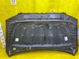 Капот TOYOTA SEQUOIA/TUNDRA 2007/Цвет 202 533010C040 USK51L/USK50L/USK52L/USK55L/USK56L/USK57L/GSK50/GSK51/GSK52/UCK50/UCK51/UCK52/UCK55/UCK56/UCK57/UPK50/UPK51/UPK52/UPK55/UPK56/UPK57/USK65L/USK65/USK60L/USK60/UCK65L/UCK65/UCK60L/UCK60/UPK60L/UPK60/UPK65