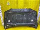 Капот TOYOTA SEQUOIA/TUNDRA 2007/Цвет 202 533010C040 USK51L/USK50L/USK52L/USK55L/USK56L/USK57L/GSK50/GSK51/GSK52/UCK50/UCK51/UCK52/UCK55/UCK56/UCK57/UPK50/UPK51/UPK52/UPK55/UPK56/UPK57/USK65L/USK65/USK60L/USK60/UCK65L/UCK65/UCK60L/UCK60/UPK60L/UPK60/UPK65