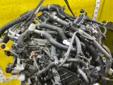 Двигатель TOYOTA LAND CRUISER PRADO 2017-2024 1900011D00 GDJ150W/GDJ150/GDJ151W/GDJ151 1GDFTV, передний