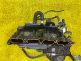 Коллектор впускной LEXUS/TOYOTA RX200T/RX300/NX200T/HARRIER/HIGHLANDER 2018 1710136082 AGL20W/AGL20L/AGL20R/AGL25W/AGL25L/AGL25R/AGZ10/AGZ15/AGZ15L/ASU60W/ASU65W/ASU50/ASU55 8ARFTS, передний