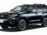 Петля дверная TOYOTA LAND CRUISER PRADO 2020/Цвет 202 6872012151 TRJ150W/TRJ150L/TRJ150/TRJ152/TRJ155/GDJ150W/GDJ150R/GDJ150L/GDJ150/GDJ151W/GDJ151/GDJ155L/GDJ155R/GDJ155/GRJ150W/GRJ150L/GRJ150/GRJ151W/GRJ151/GRJ152/KDJ150/KDJ150L/KDJ155 2TRFE, передняя п