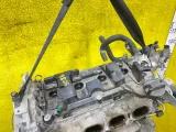 Двигатель NISSAN SERENA 2017 101025TAAA GFC27/GC27/C27/GFNC27/GNC27 MR20DD, передний