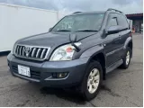 Поддон TOYOTA LAND CRUISER PRADO/HILUX SURF 2003 1210162110 VZJ120W/VZJ120/VZJ121W/VZJ121/VZJ125W/VZJ125/VZN210W/VZN210/VZN215W/VZN215 5VZFE, передний