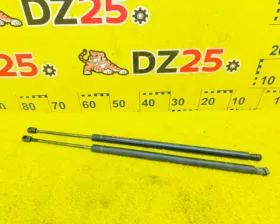 Амортизатор задней двери General Motors