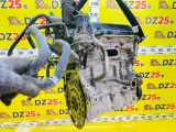 Двигатель HONDA FREED+ 2017/Цвет NH788P GB5 L15B, передний
