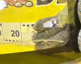 Лобовое стекло SUZUKI