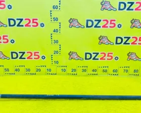 Торсион General Motors