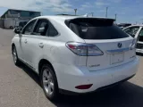 Доводчик двери пятой LEXUS RX450H 2009/Цвет 077 6891048020 GYL15W 2GRFXE, задний
