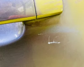 Дверь боковая General Motors