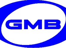 Ролик ГРМ GMB