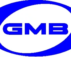 Ролик ГРМ GMB