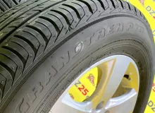 Шины Dunlop 225/70R16