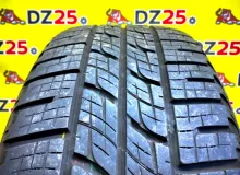 Шина Pirelli 255/55R19