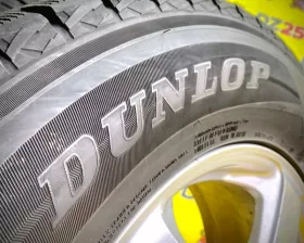 Шины Dunlop 225/70R16