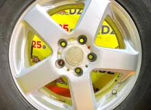 Колеса на дисках Bridgestone Vaggio 5x114.3 c шинами Dunlop 225/70R16