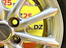Диски Bridgestone Eco Forme 15 5x100