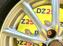 Диски Bridgestone Eco Forme 15 5x100