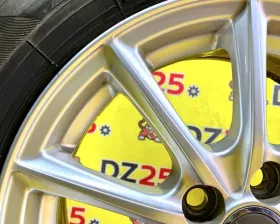 Диски Bridgestone Eco Forme 15 5x100