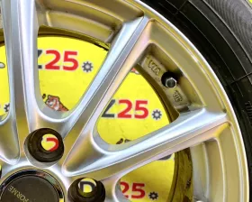 Диски Bridgestone Eco Forme 15 5x100