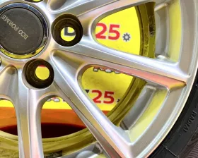 Диски Bridgestone Eco Forme 15 5x100