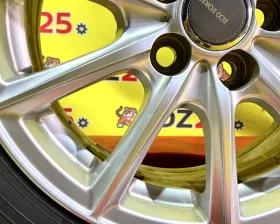 Диски Bridgestone Eco Forme 15 5x100